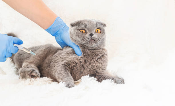 Déparasitage et désinfection